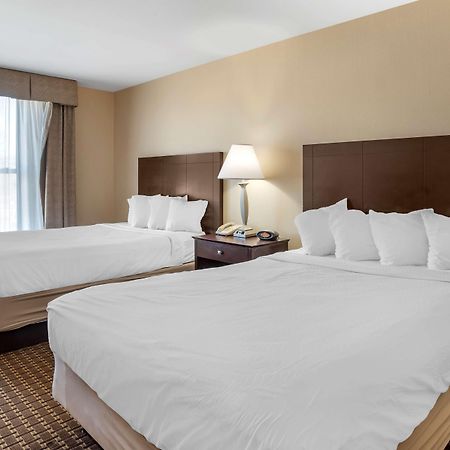 צ'סטר Best Western Plus Philadelphia Airport South - At Widener University מראה חיצוני תמונה