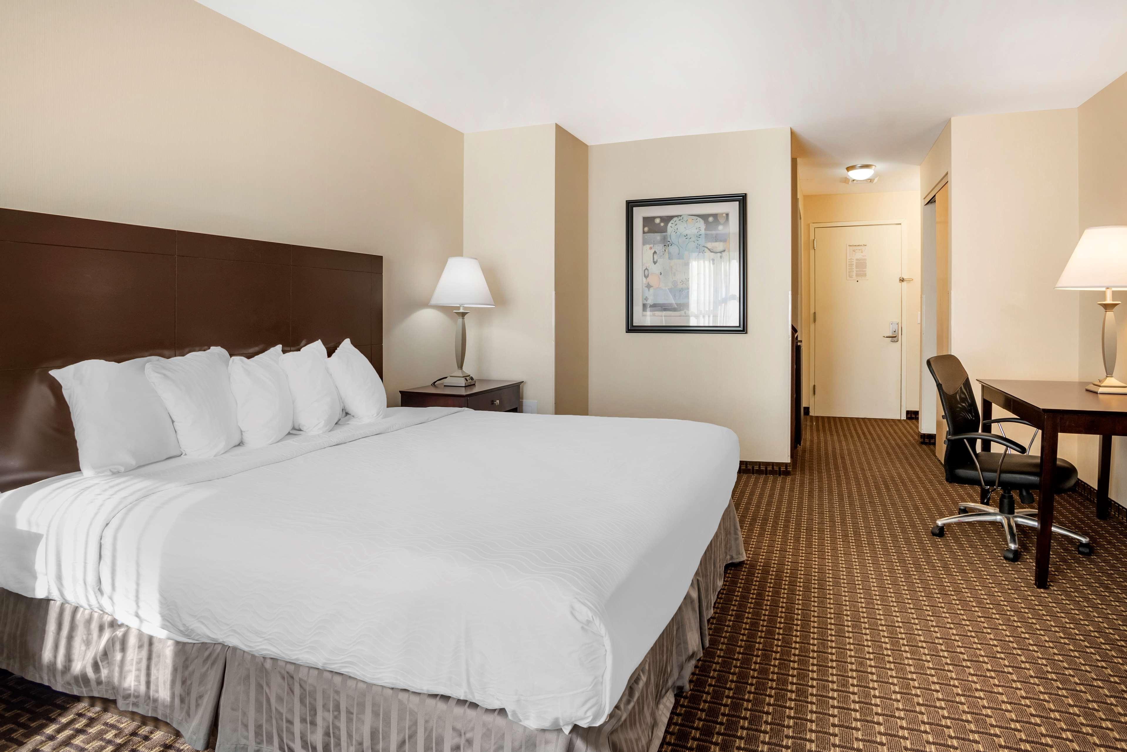 צ'סטר Best Western Plus Philadelphia Airport South - At Widener University מראה חיצוני תמונה