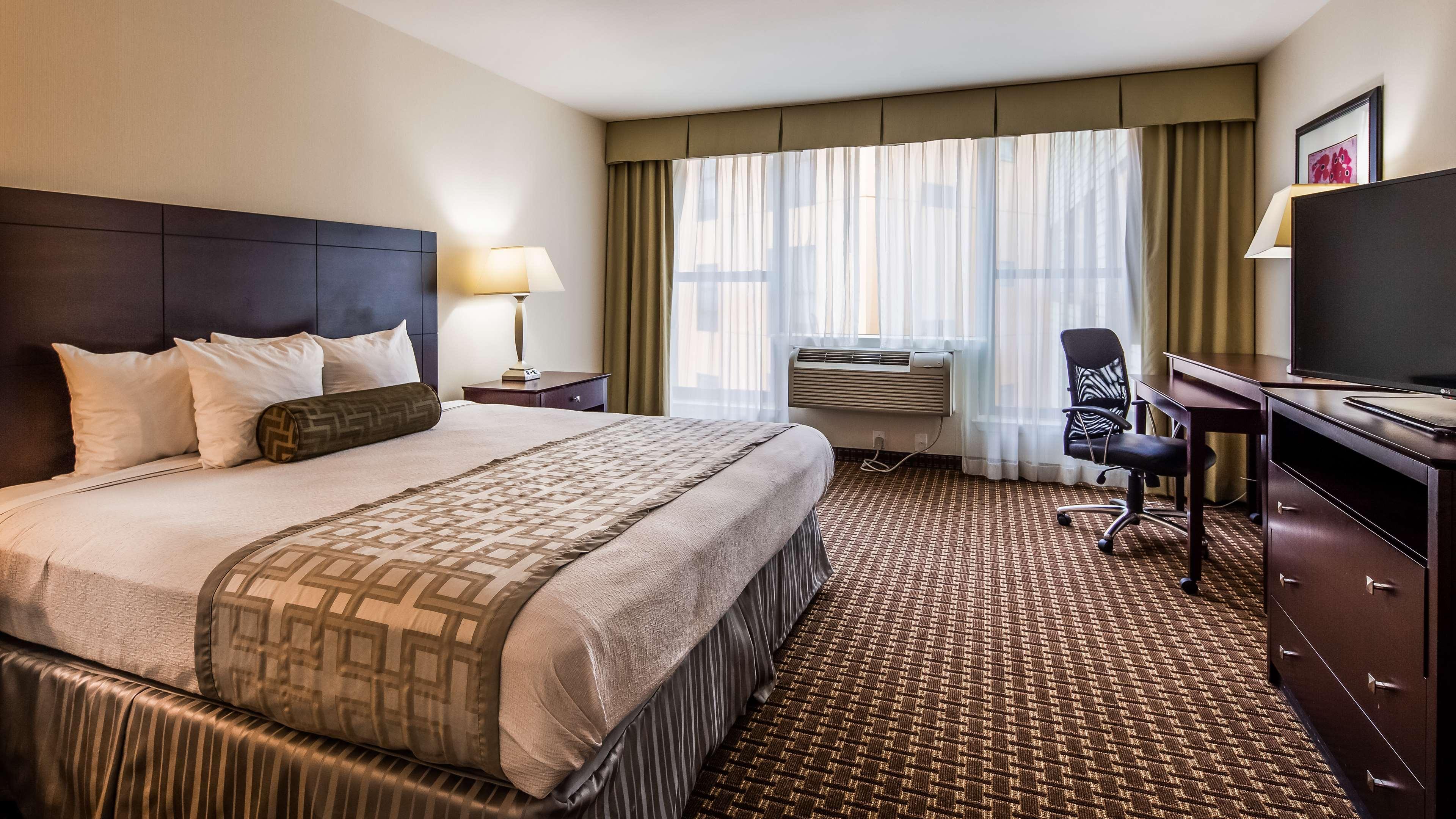 צ'סטר Best Western Plus Philadelphia Airport South - At Widener University מראה חיצוני תמונה