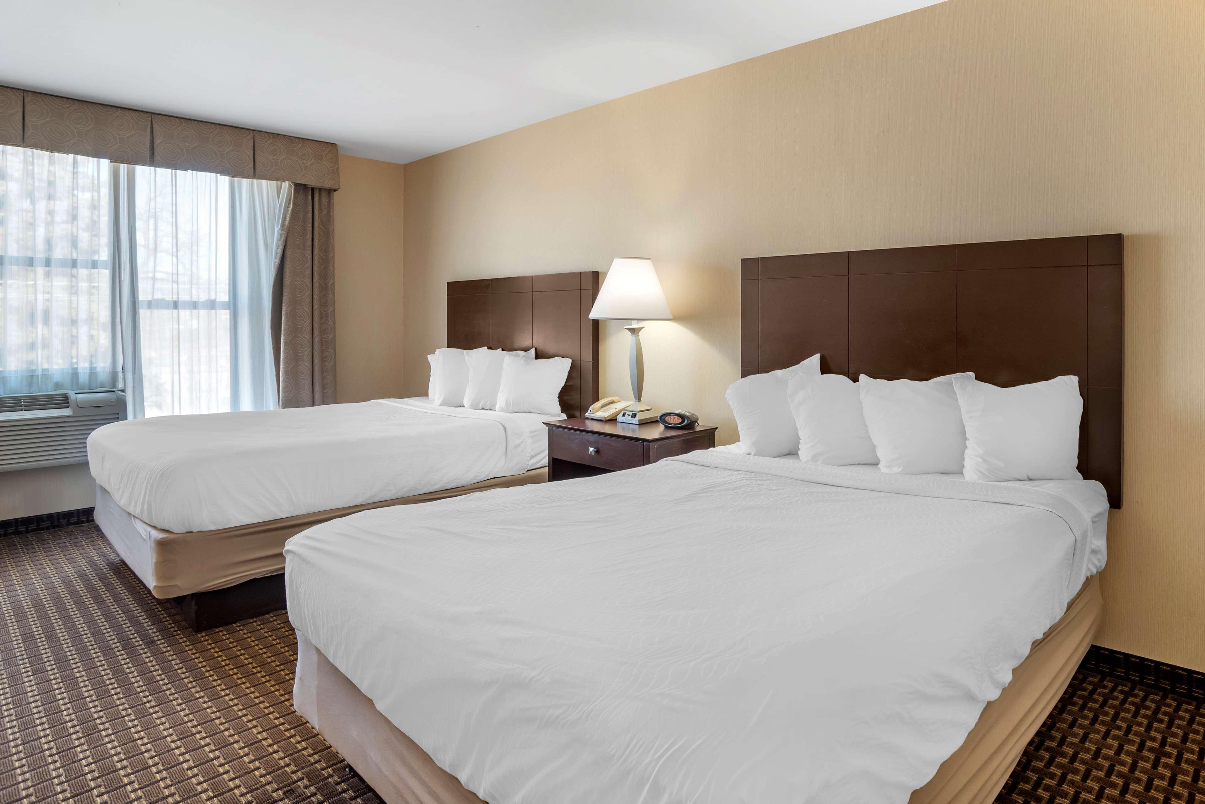 צ'סטר Best Western Plus Philadelphia Airport South - At Widener University מראה חיצוני תמונה