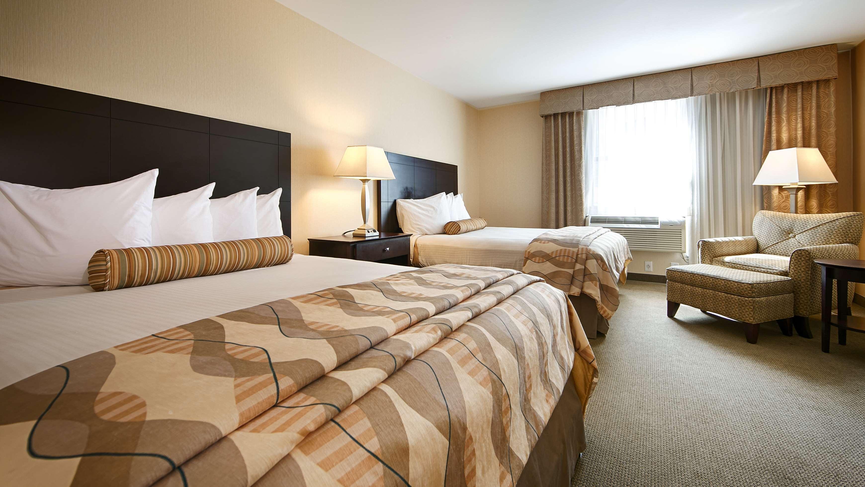 צ'סטר Best Western Plus Philadelphia Airport South - At Widener University מראה חיצוני תמונה