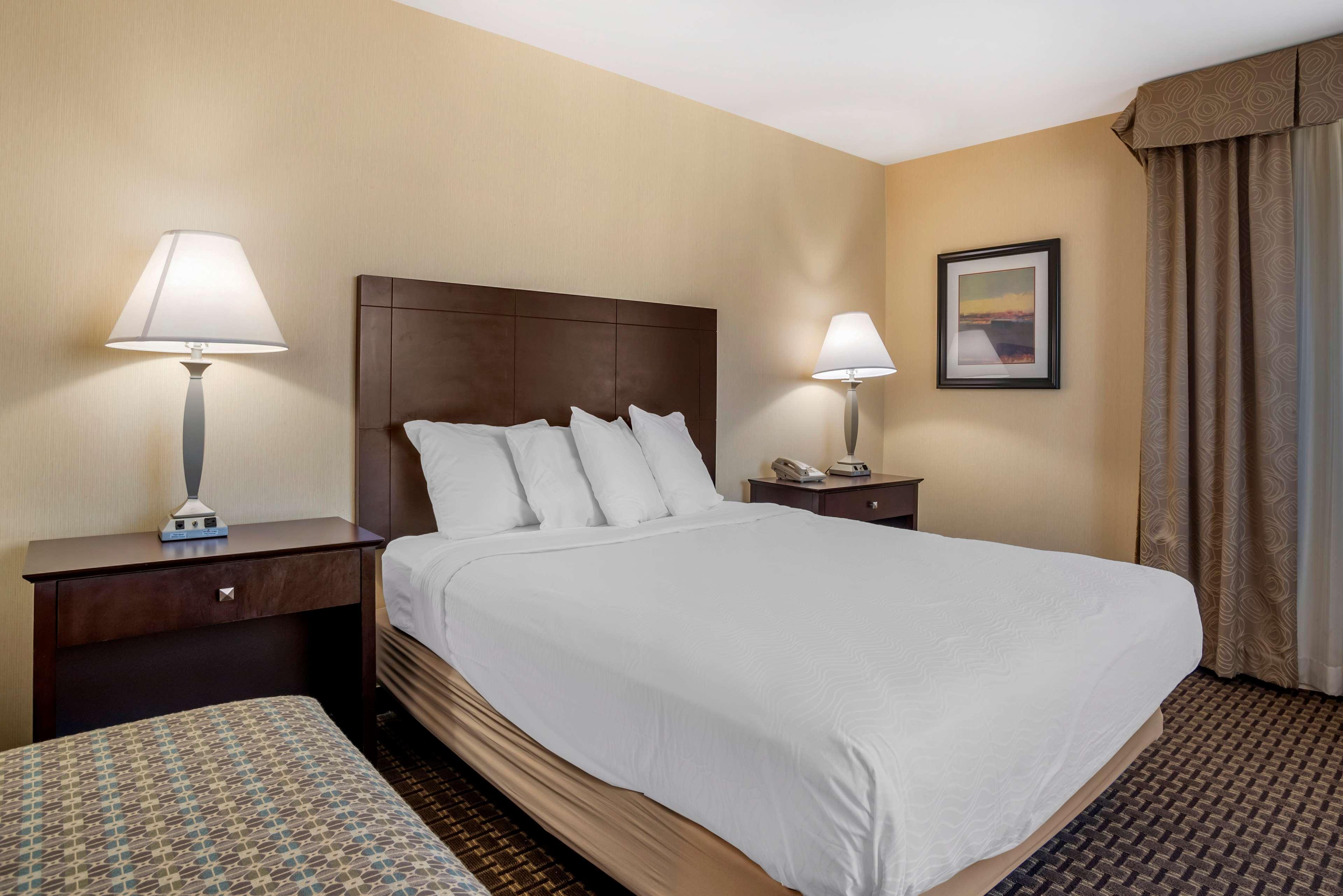 צ'סטר Best Western Plus Philadelphia Airport South - At Widener University מראה חיצוני תמונה