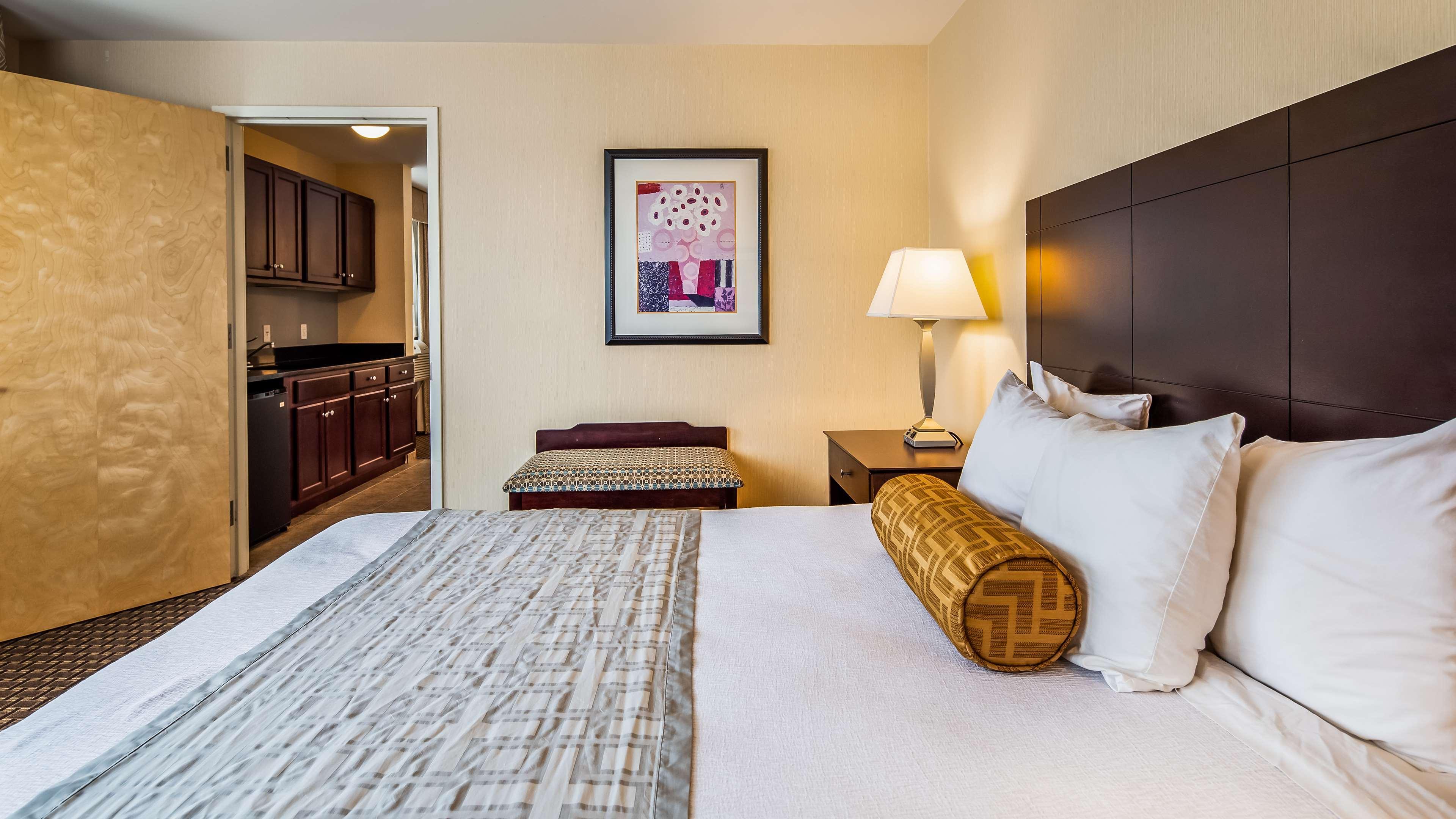 צ'סטר Best Western Plus Philadelphia Airport South - At Widener University מראה חיצוני תמונה