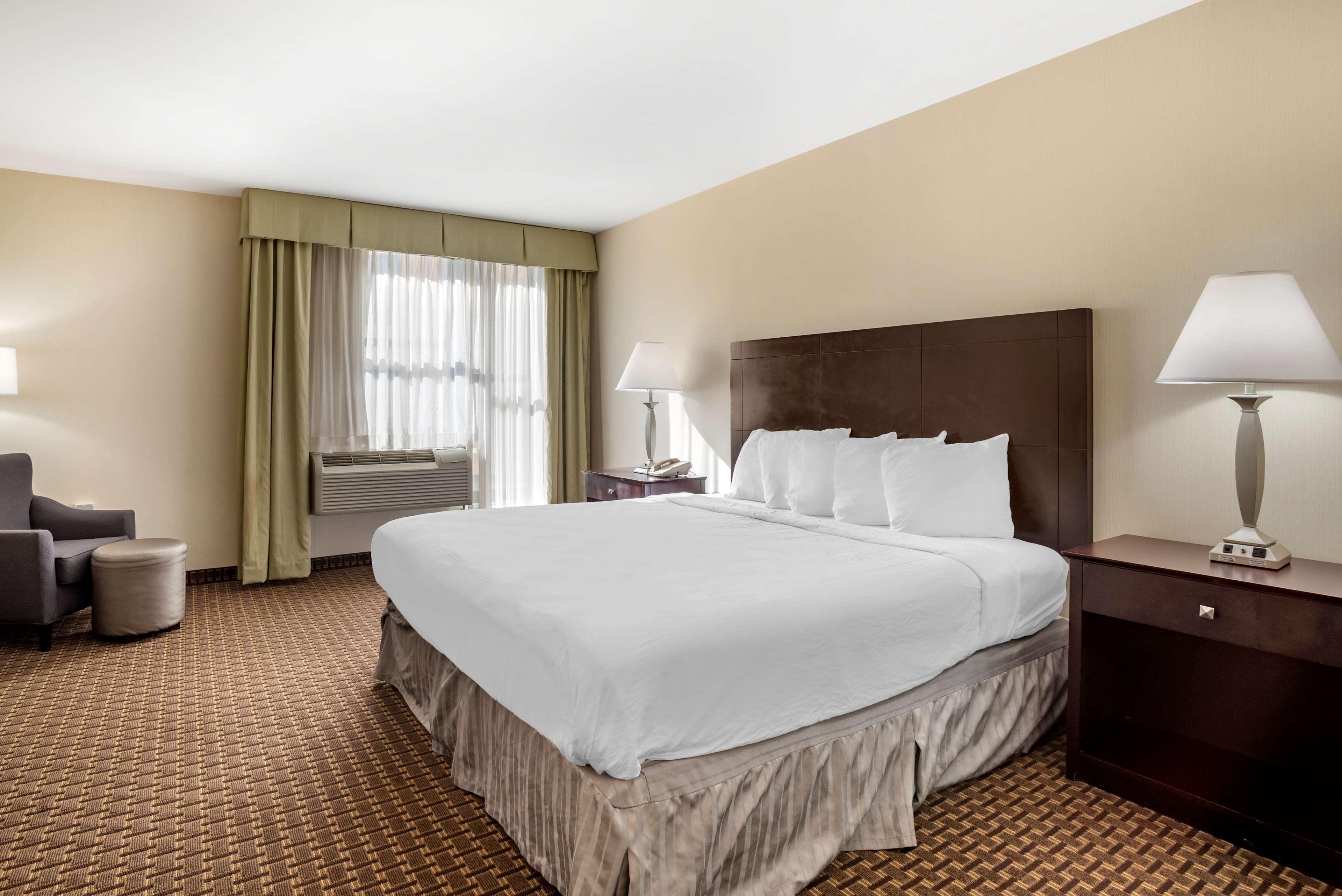 צ'סטר Best Western Plus Philadelphia Airport South - At Widener University מראה חיצוני תמונה