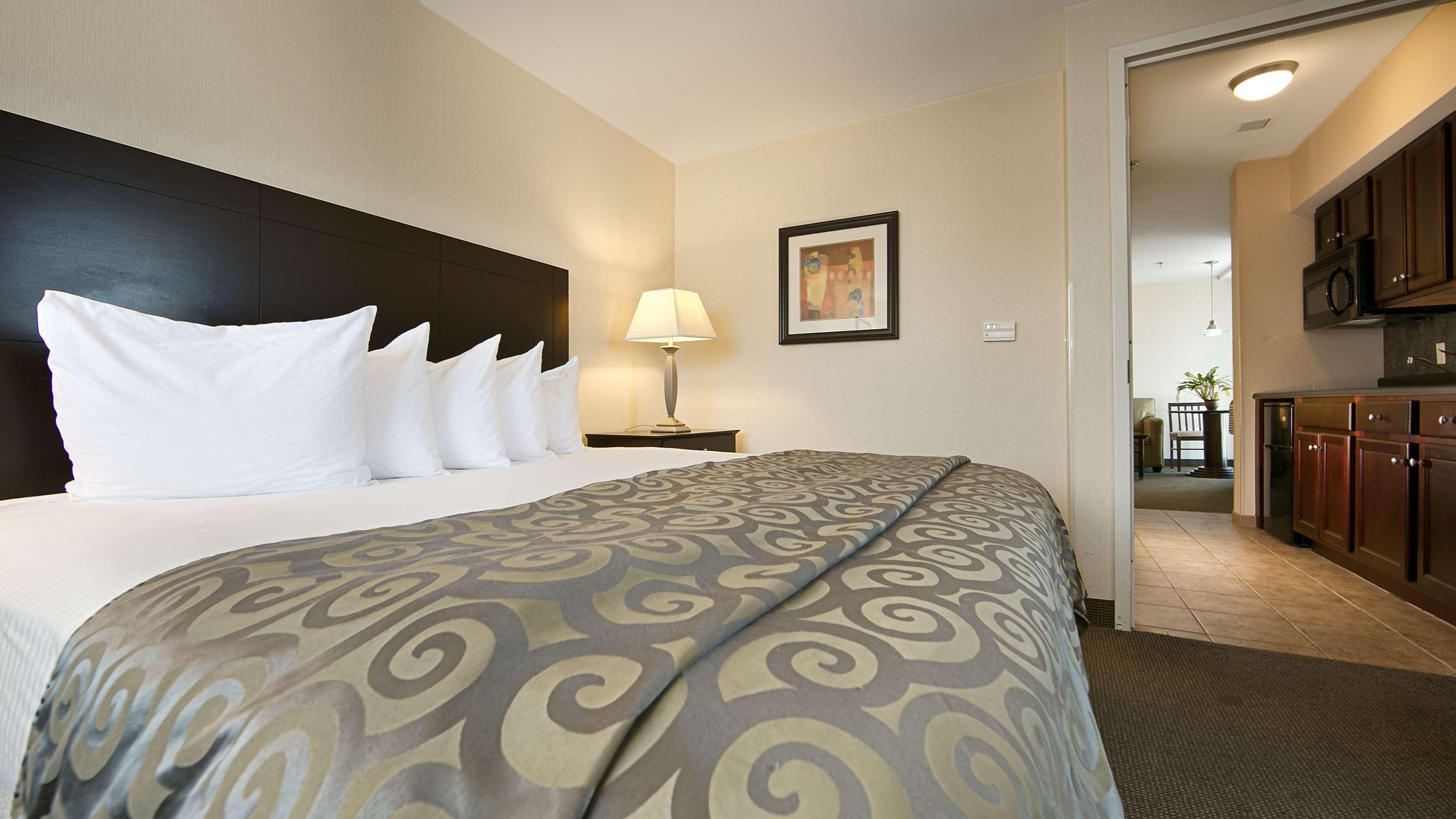 צ'סטר Best Western Plus Philadelphia Airport South - At Widener University מראה חיצוני תמונה